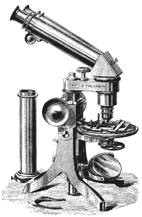 Engraved plate of a compound microscope from the 1911 Encyclopaedia Britannica.